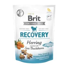 Brit Care 150 gr X 10 ADET Yara İyileşmesini Hızlandırmak İçin, Tahılsız, Ringa Balıklı Ve Yalancı İğdeli, Fonksiyonel Yetişkin Köpek Ödülü 