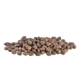 Brit Care 2 kg Mini Irk Yetişkin Köpekler İçin, Tahılsız, Hipoalerjenik Kuzu Etli Kuru Mama 