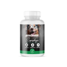 Prochoice 60 Tablet X 12 ADET Köpekler İçin Dışkı Yeme Önleyici Vitamin 