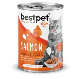 Bestpet 400 gr X 12 ADET  Yetişkin Kediler İçin, Taze Somon Parça Etli Ve Soslu Yaş Mama 