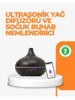 Zaman Ayarlı ve Otomatik Kapanma Özellikli Buhar Makinesi