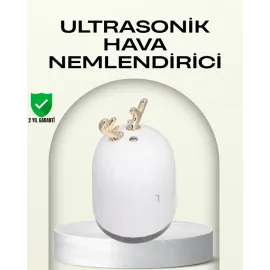 Abs+Pp Malzemeli Taşınabilir 220 Ml Usb Mist Nemlendirici