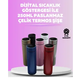 LED Sıcaklık Ölçerli 250 ml Yalıtımlı Termos Şişe
