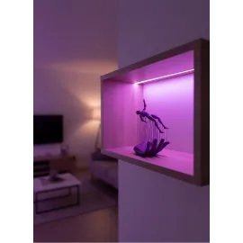 El İnsan Figürü Mor