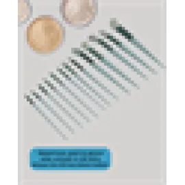 Umuşak Kıllı Estetik Tasarımlı 13'lü Makyaj Fırçası Seti Günlük Ve Profesyonel Kullanım