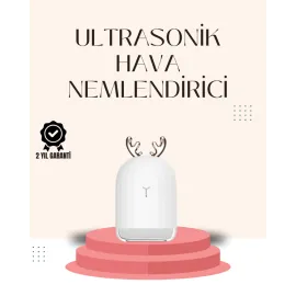 Usb Şarjlı Mini Usb Nemlendirici Led Işıklı Masaüstü Cihaz