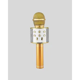 Karaoke Mikrofonu Bluetooth Usb Aux Girişli Yankı Efektli