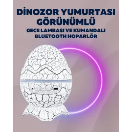 Yıldız Gökyüzü Efektli Çok Modlu Gece Işığı