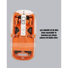Sessiz ve Ergonomik Kablosuz Fare - 30 Gün Kullanım, 2 Modlu Bağlantı